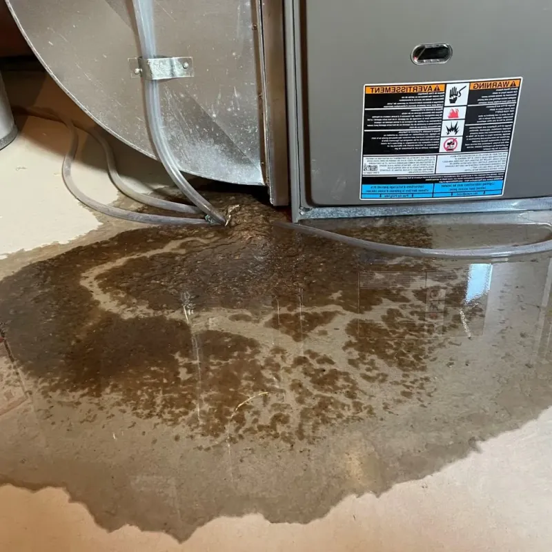 Pipe Burst and Leak Restoration in Charleston, SC